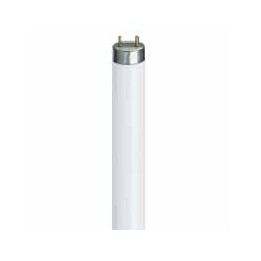 NEON LINEARE TLD 58W CM 150