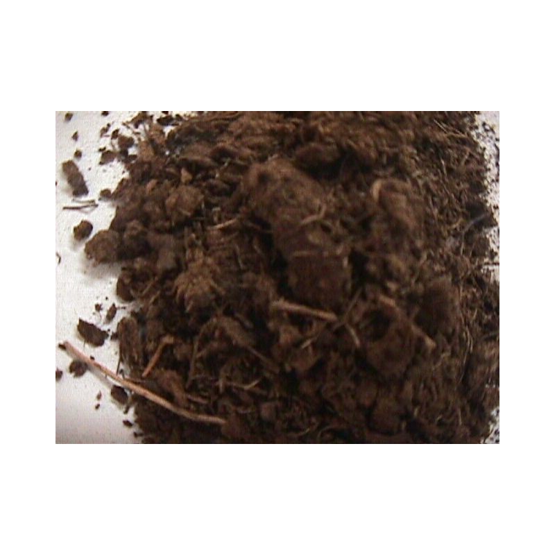 TORBA FIBROSA Lt 250