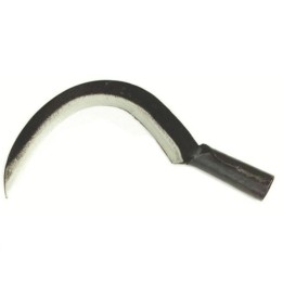 RONCOLA TIPO SCANZANO C/CANNA CM 26