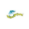 SUPER FIVE